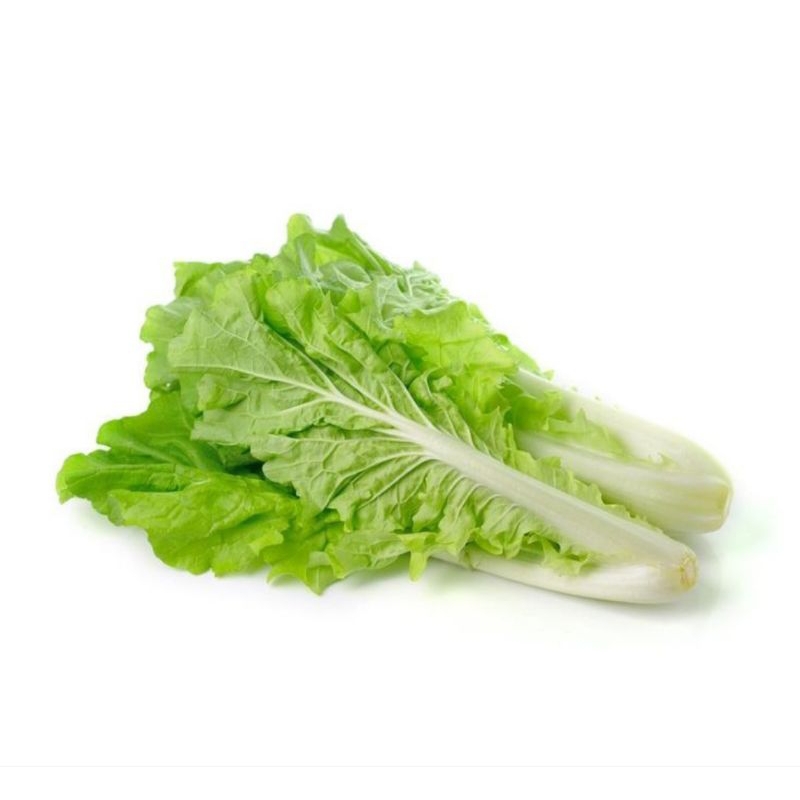 

sawi keriting segar 500gr