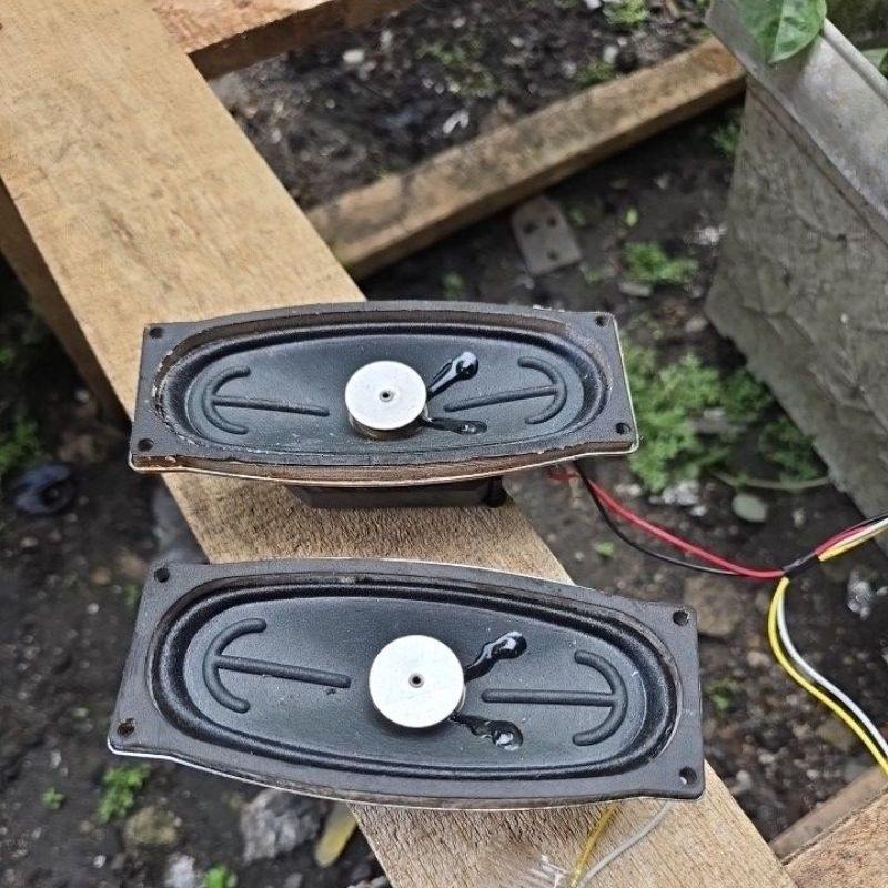 speaker copotan tv Polytron sepasang