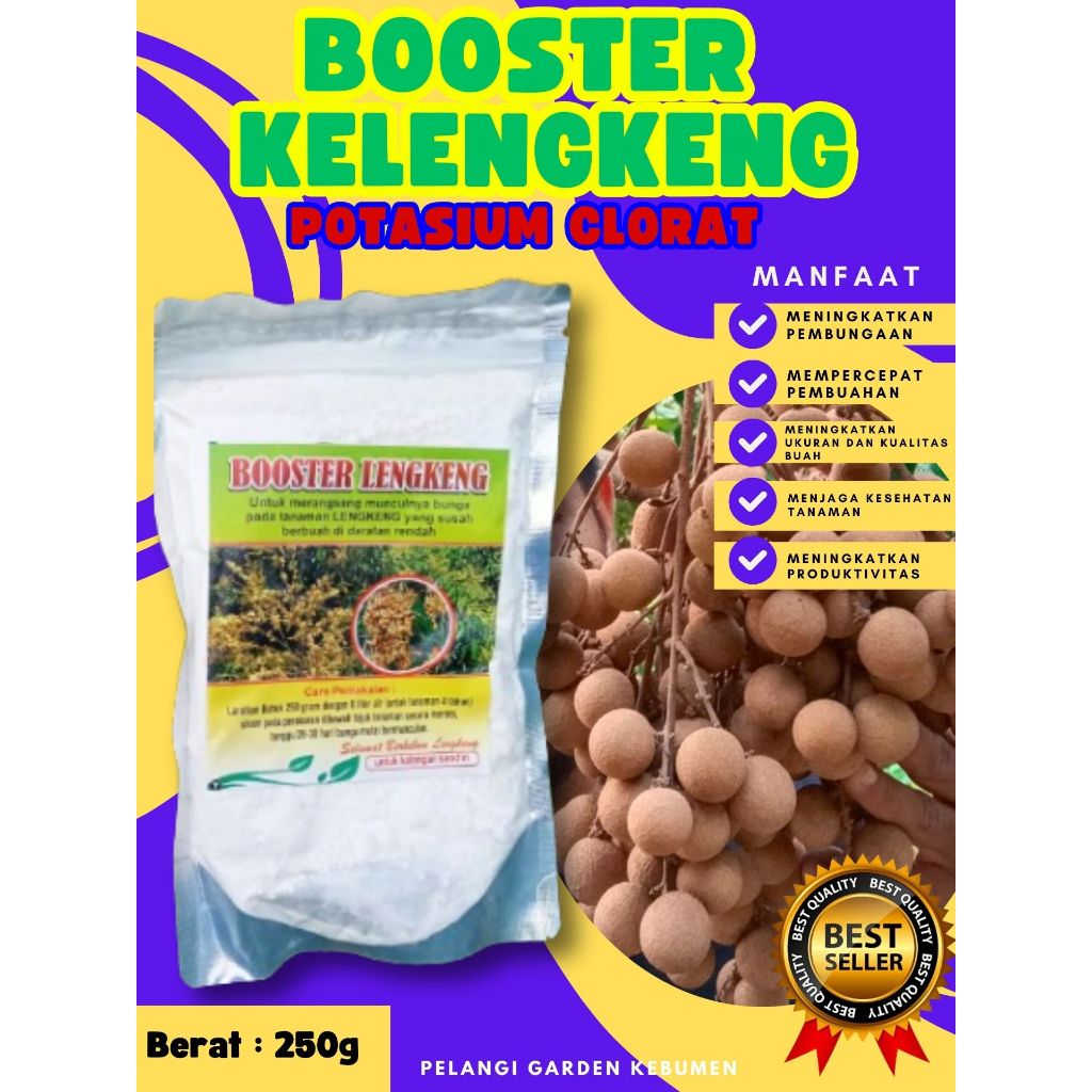 KUALITAS TERBAIK  Booster Kelengkeng Matalada Berbuah, Booster Kelengkeng Merah Cangkok Berbuah, Boo
