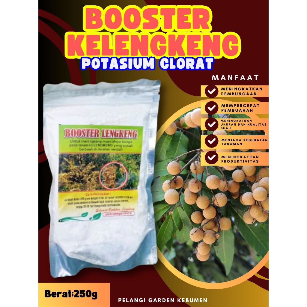BEST SELLER  Booster Kelengkeng Kclo 3 Murni, Booster Kelengkeng Kclo 3
