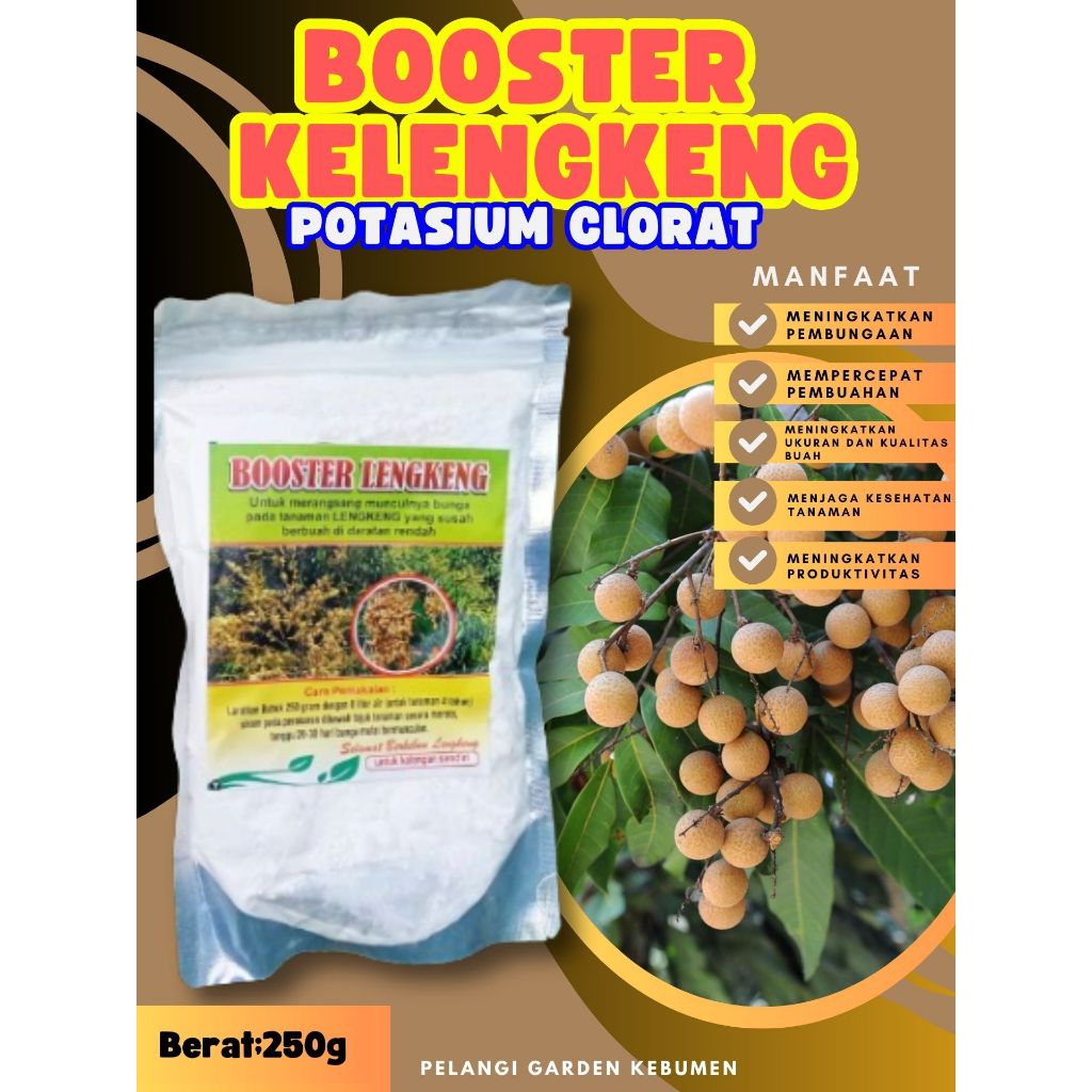 UNGGULAN  Booster Kelengkeng Murni, Booster Kelengkeng Murni