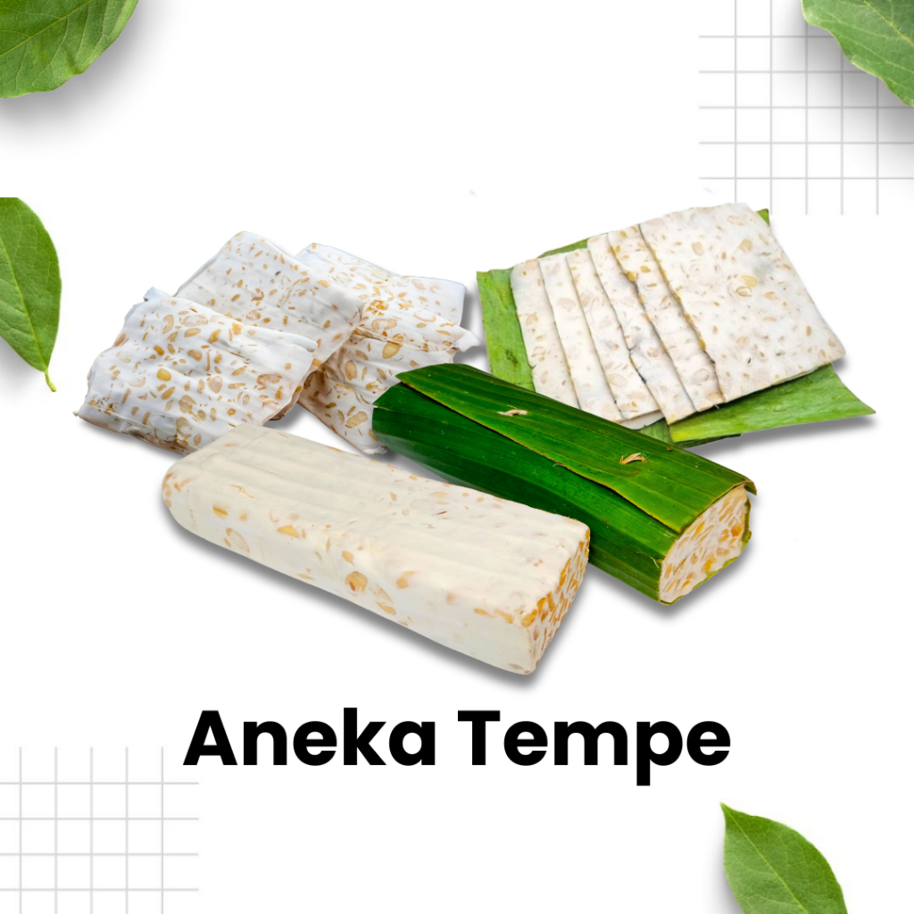 

Aneka Tempe Siap Masak / tempe mendoan / tempe kecil / tempe balok / masak tempe