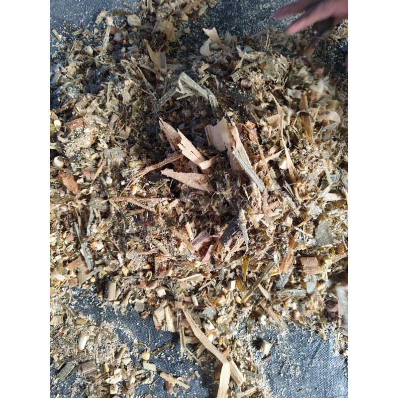 SILASE - PAKAN TERNAK KAMBING MAUPUN SAPI CAMPURAN  kosentrat +biovitas +odot + Tebon JAGUNG 3kg