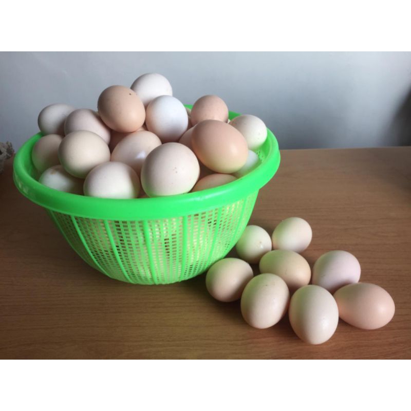 

Telur Ayam Kampung Omega 1 Butir