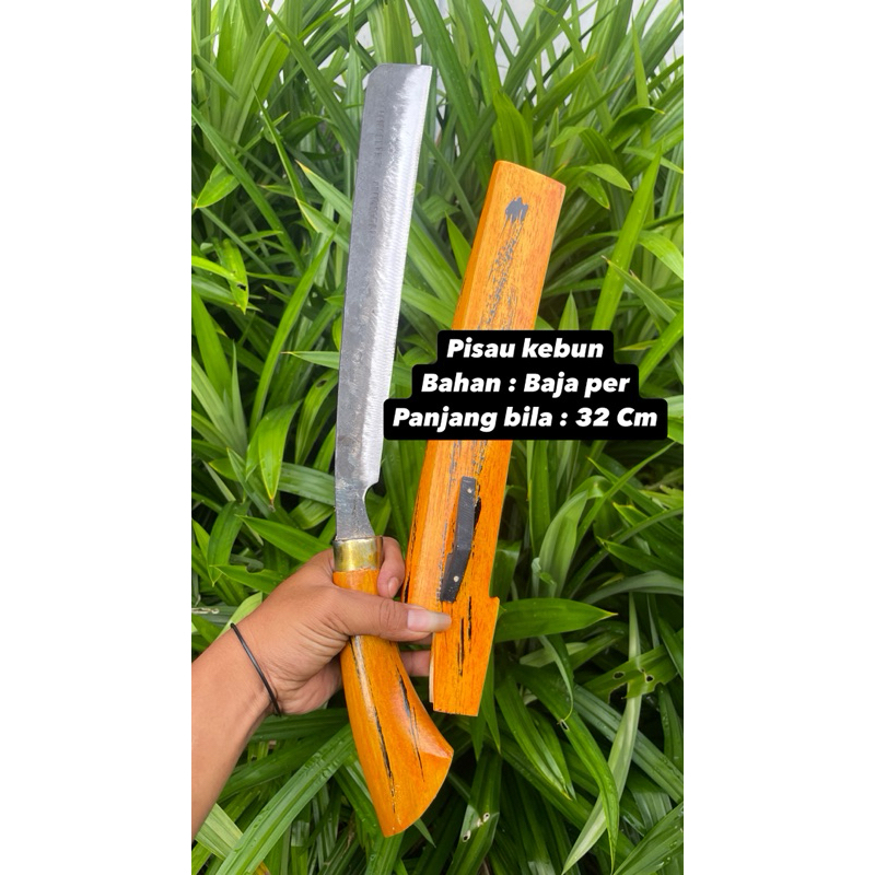 GOLOK kebun super tajam