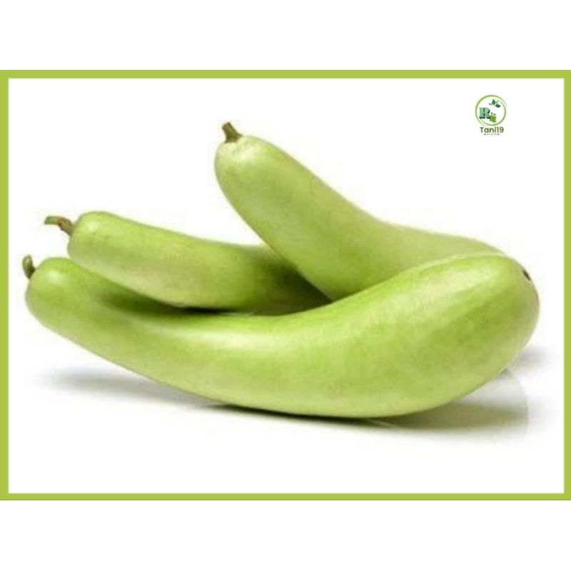 

biji benih LABU AIR PANJANG | KUKUK | MURAH | COD