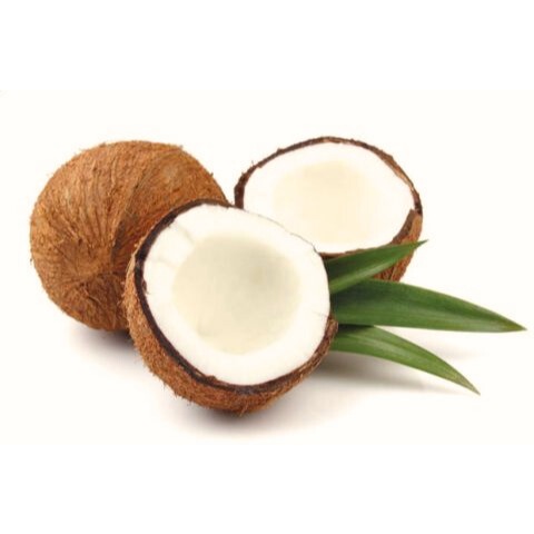 

Kelapa utuh ukuran besar murah