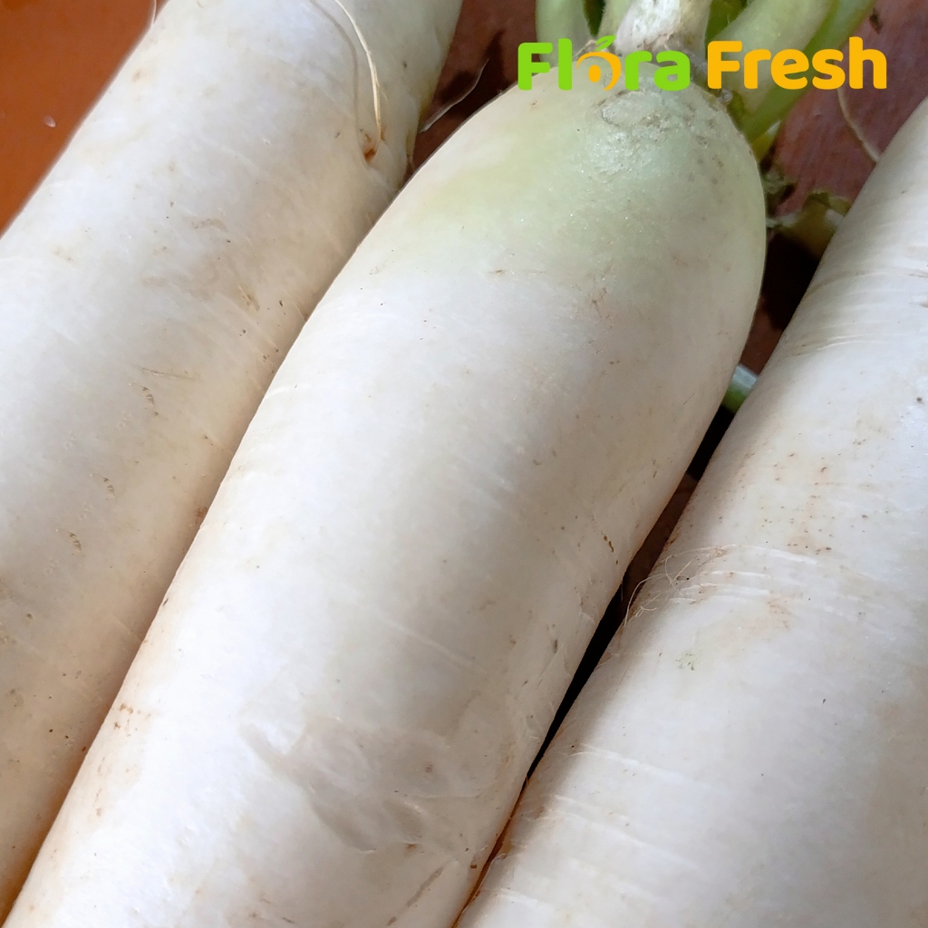 

Lobak 500 Gram Flora Fresh