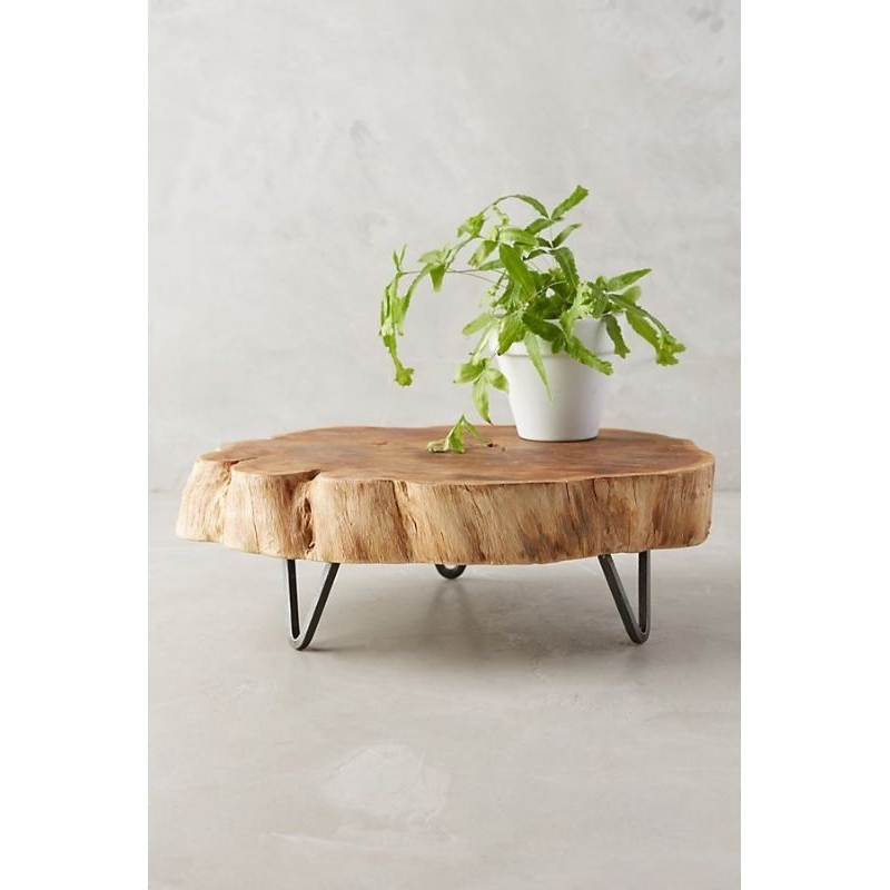 Meja Bunga/Bonsai Akar Kayu Jati Perhutani industrial minimalis Aesthetic