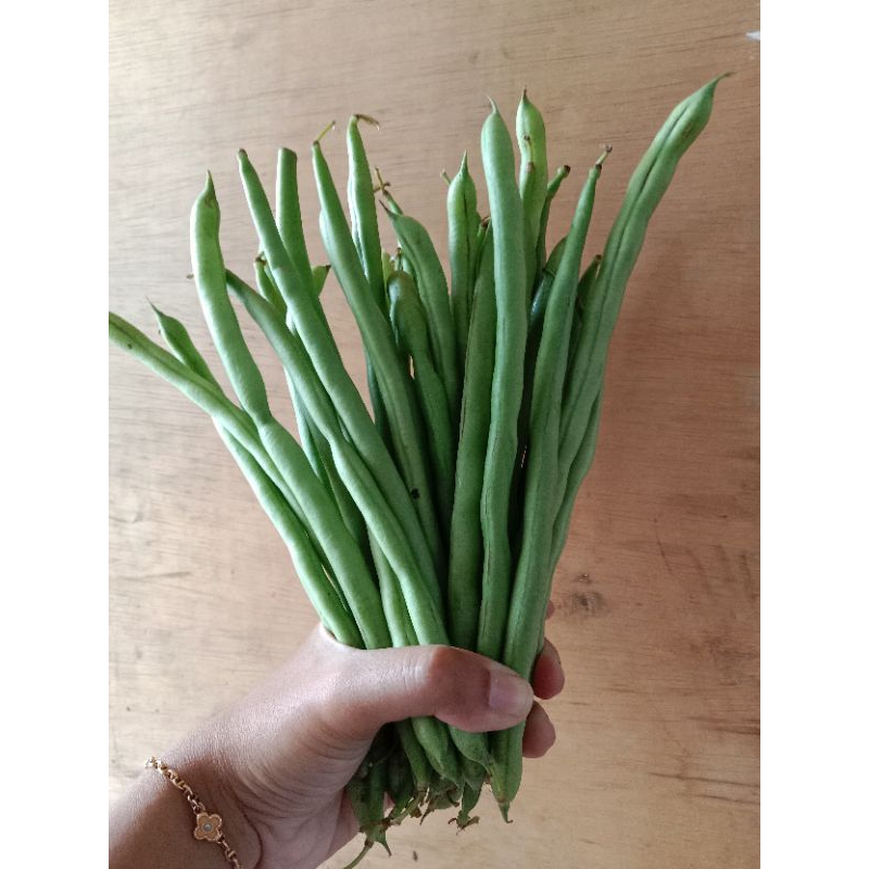 

Buncis Fresh