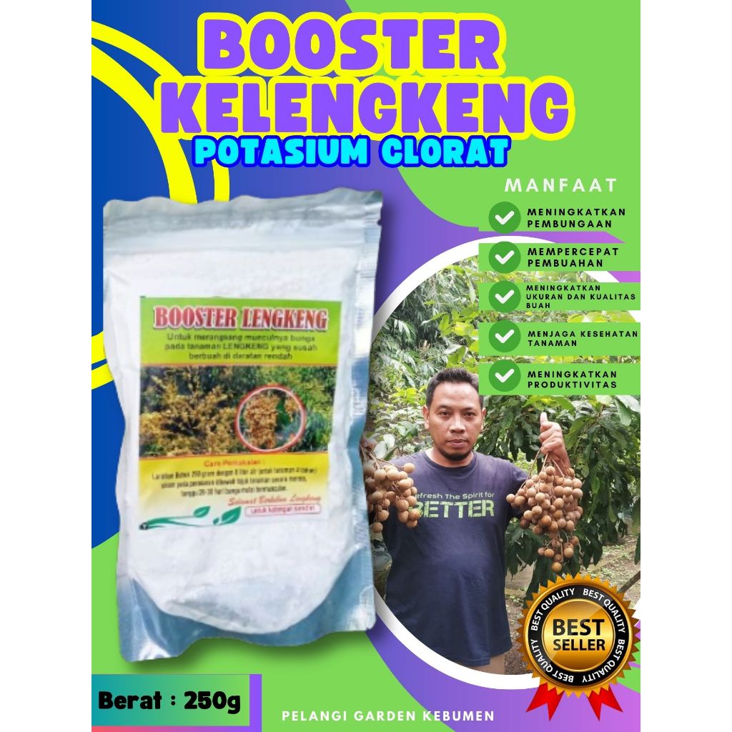 TERLARIS  Boster Kelengkeng Stek, Boster Kelengkeng Terbaik