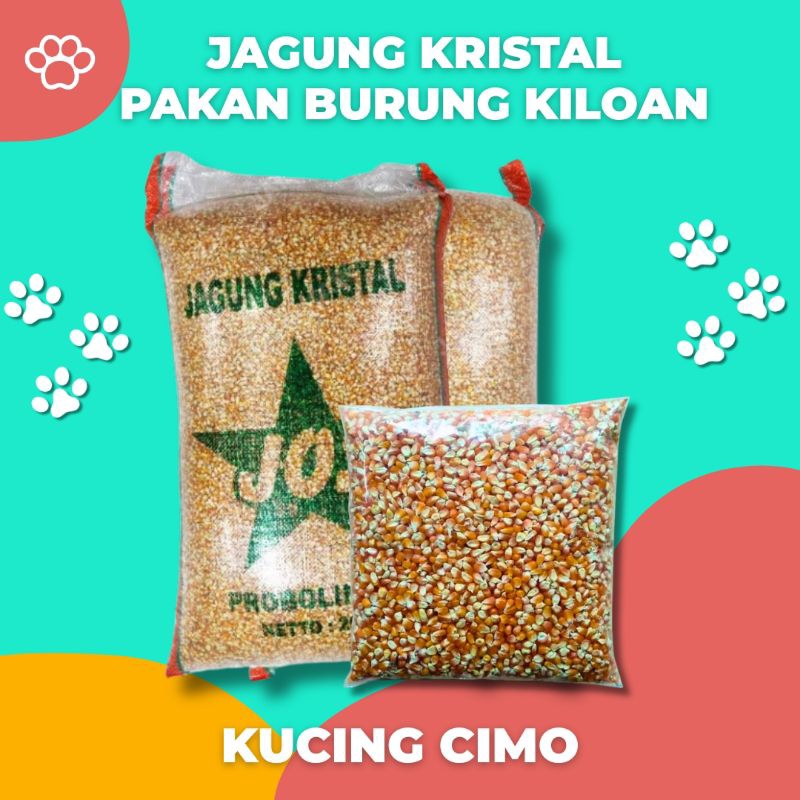 Jagung Kristal Probolinggo Pakan Burung Merpati dan Dara Repack 1kg