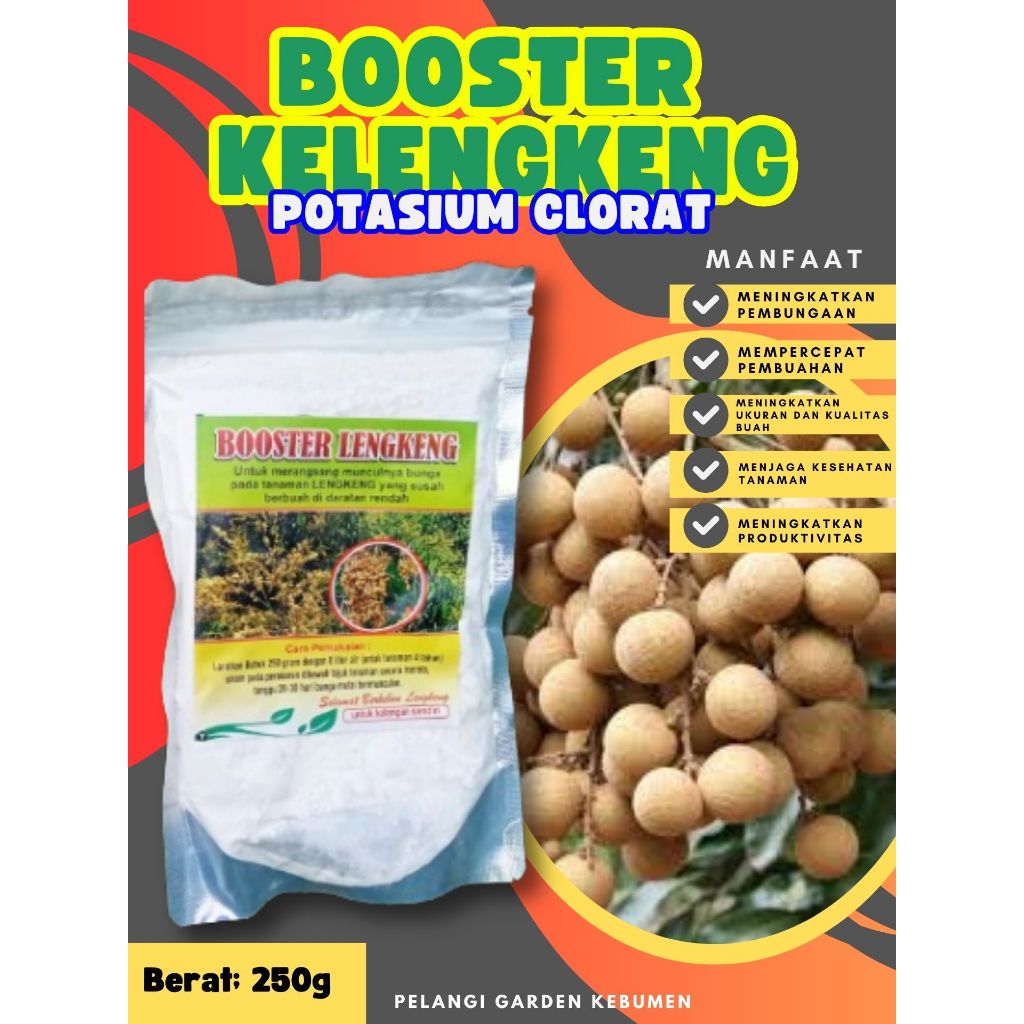 KUALITAS TERBAIK  Boster Kelengkeng Durian, Boster Kelengkeng Kcl03 Murni