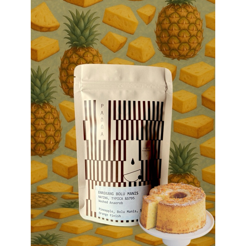 

ASLII Biji Kopi Arabika Sulawesi Enrekang Bolu Manis Old Tree