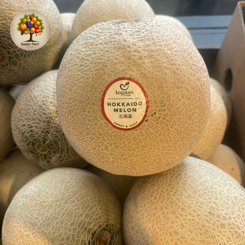 

Melon hokkaido jepang | Melon hydroponic-+1,5 kg