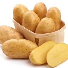 

Sayuran kentang dieng500gr