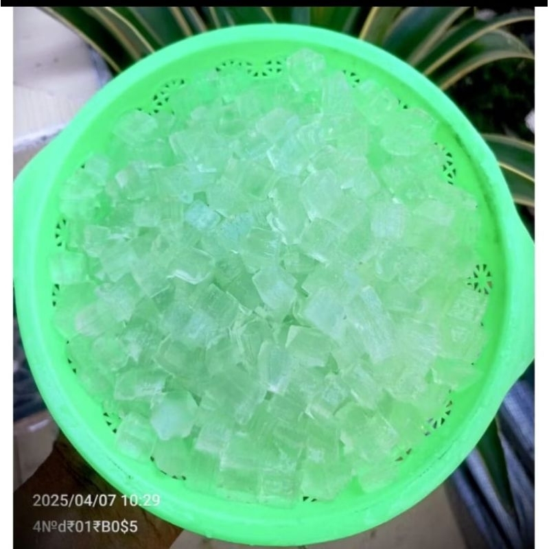 

Lidah buaya kupas 250gram
