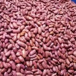 

kacang merah berkualitas terbaik dari petani 250g