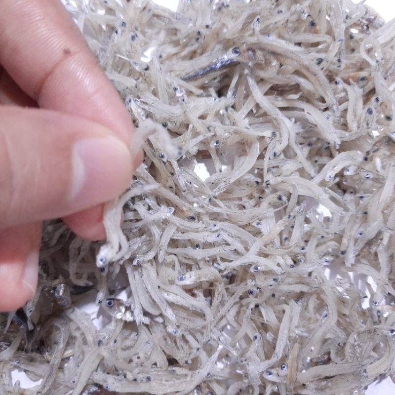 

IKAN ASIN KERING TERI