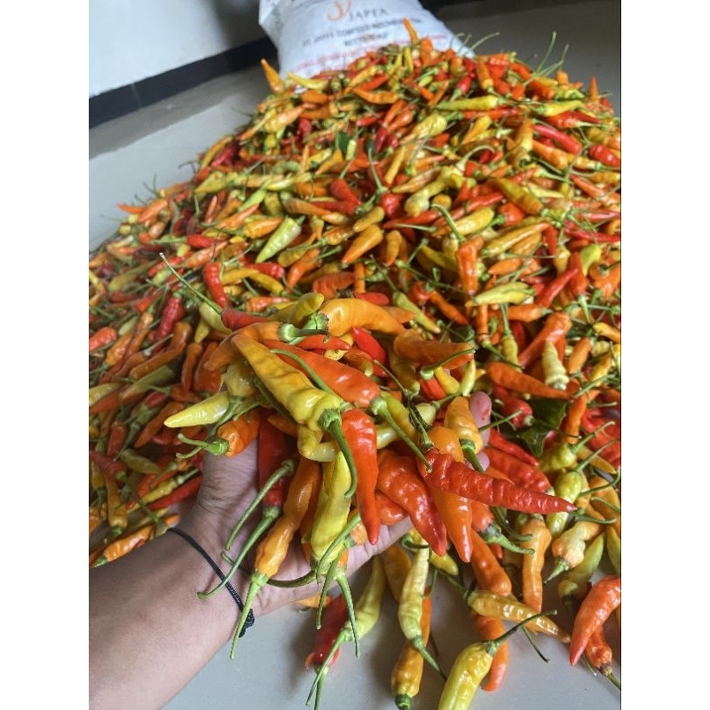 

Cabai rawit merah lokal super