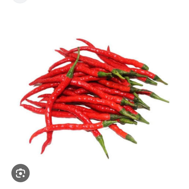 

CABE MERAH KERITING GUNUNG