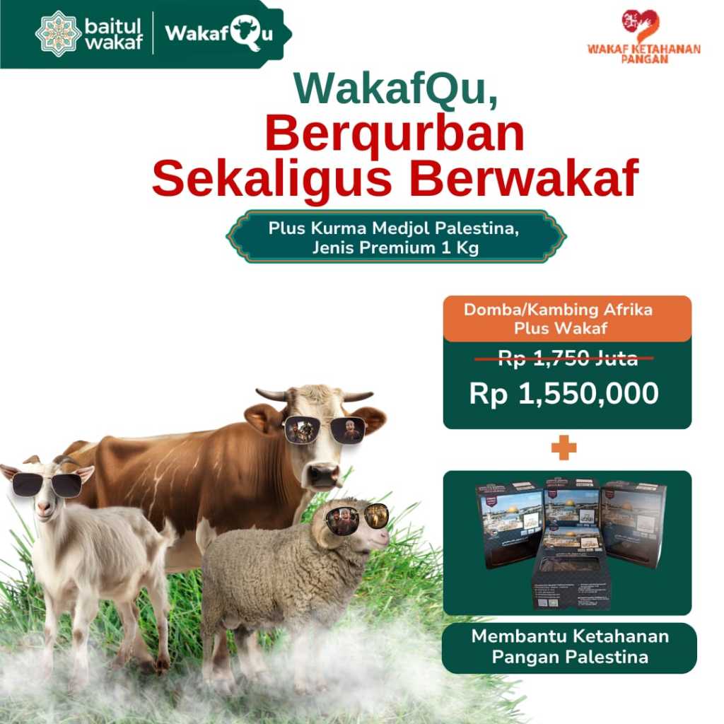 

Qurban/ kurban Kambing/ Domba Afrika Plus wakafqu bundling kurma medjool 1kg