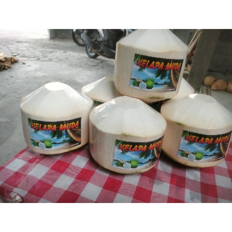 

kelapa muda
