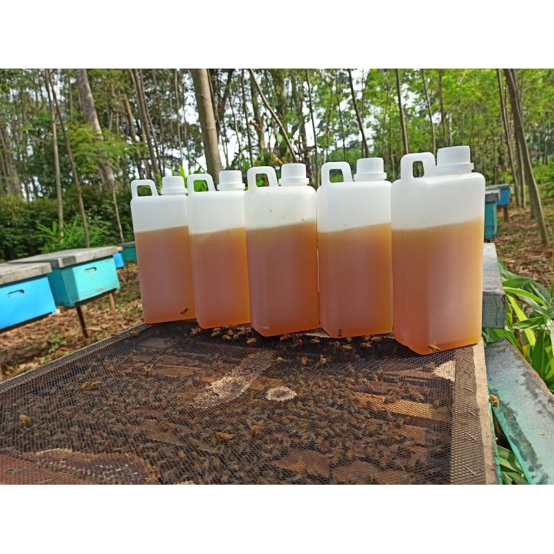 

MADU ASLI