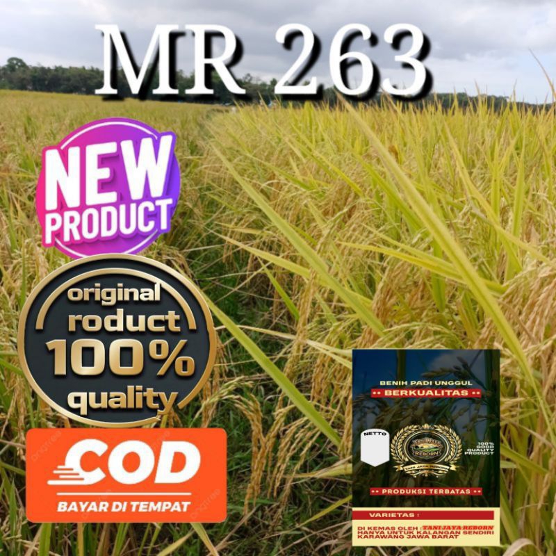 BENIH/BIBIT PADI SUPER UNGGUL MR 263 (1KG) padi petani unggulan.