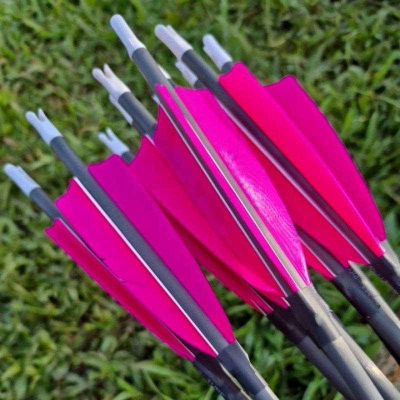 Arrow Carbon Premium Musen Spine 500