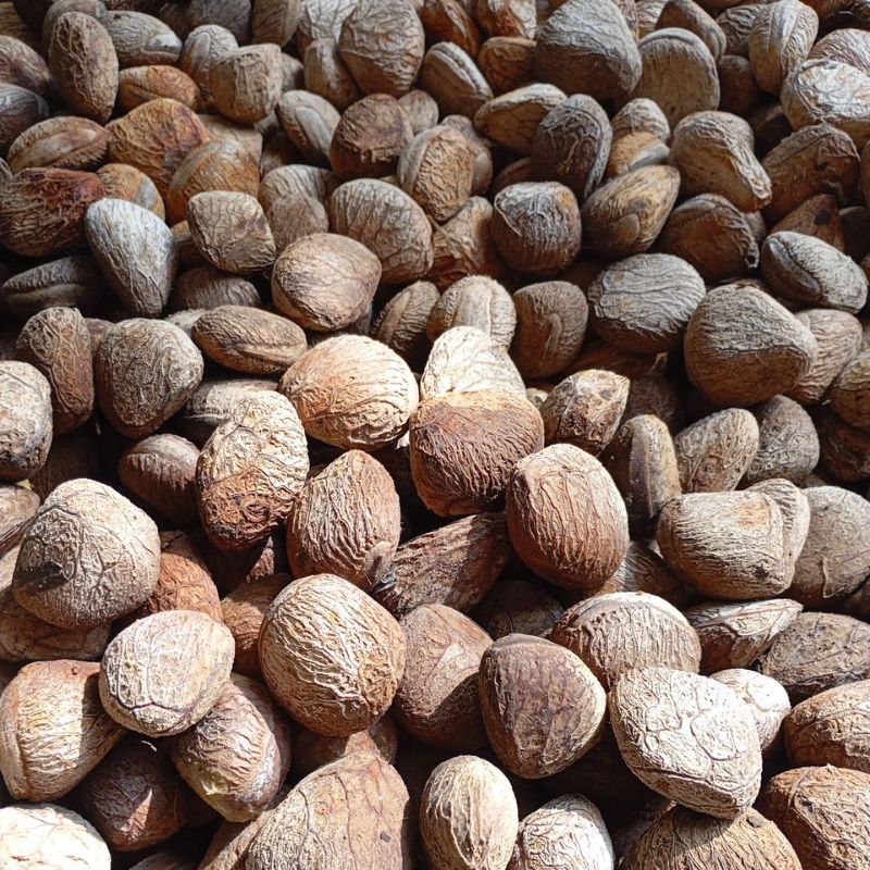 

Pucung / Picung / klwek mateng 1 kg