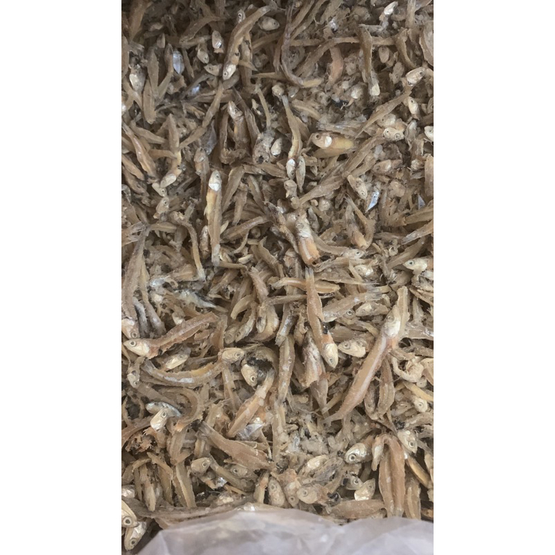 

ikan teri asin fres lngsung dari tempatnya