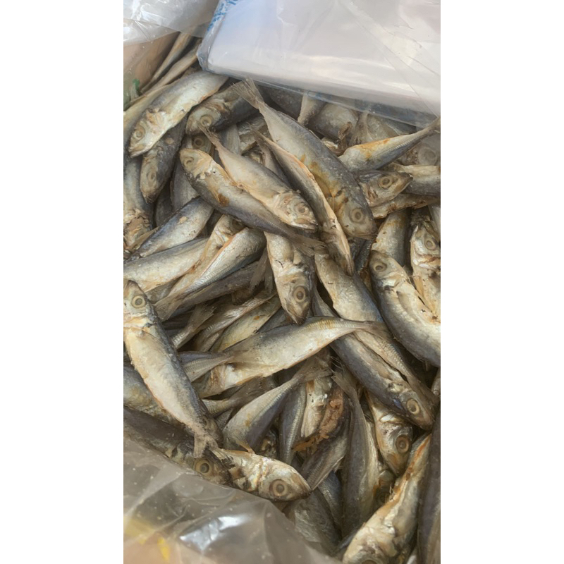 

ikan peda kecil