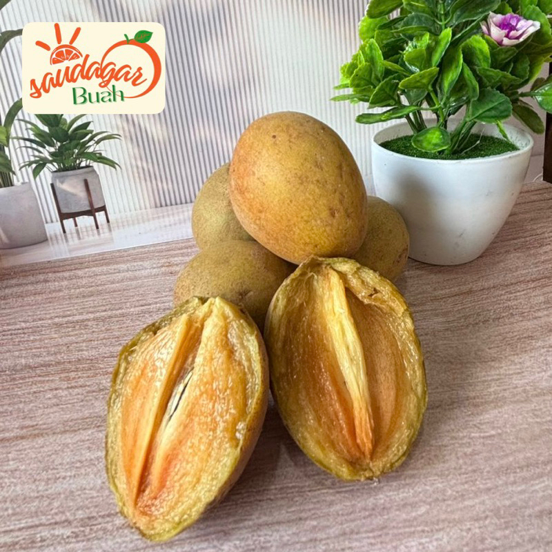 

BUAH SAWO MANILA SAWO MANIS