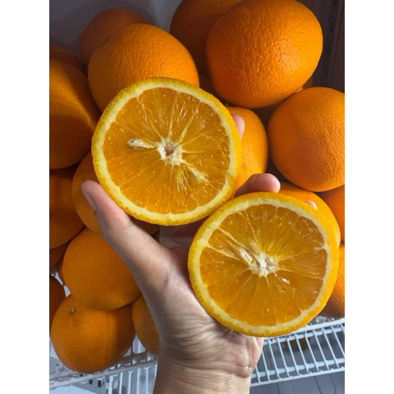 

Buah jeruk sunkist 1kg