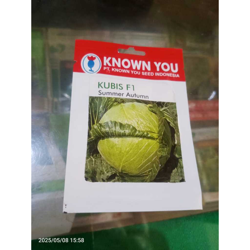 Benih Kubis Kol SUMMER AUTUMN - Known You Seed ( Kemasan kecil )