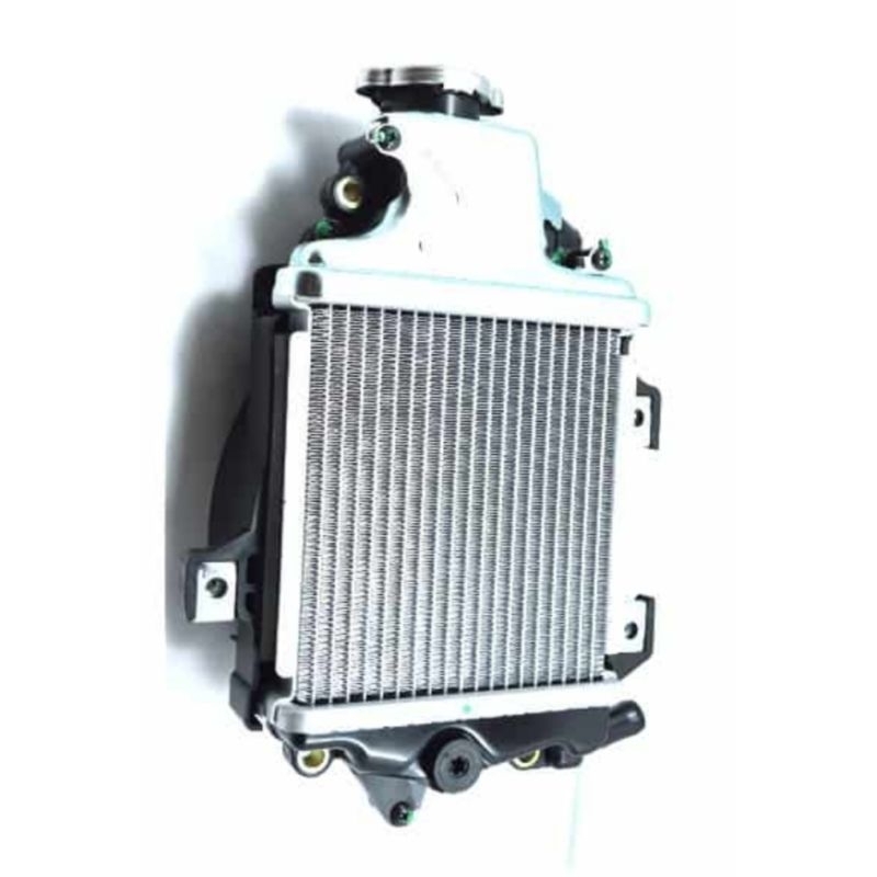 Radiator Assy Honda Vario 125 CBS ISS 2012-2015 19100-KZR-602
