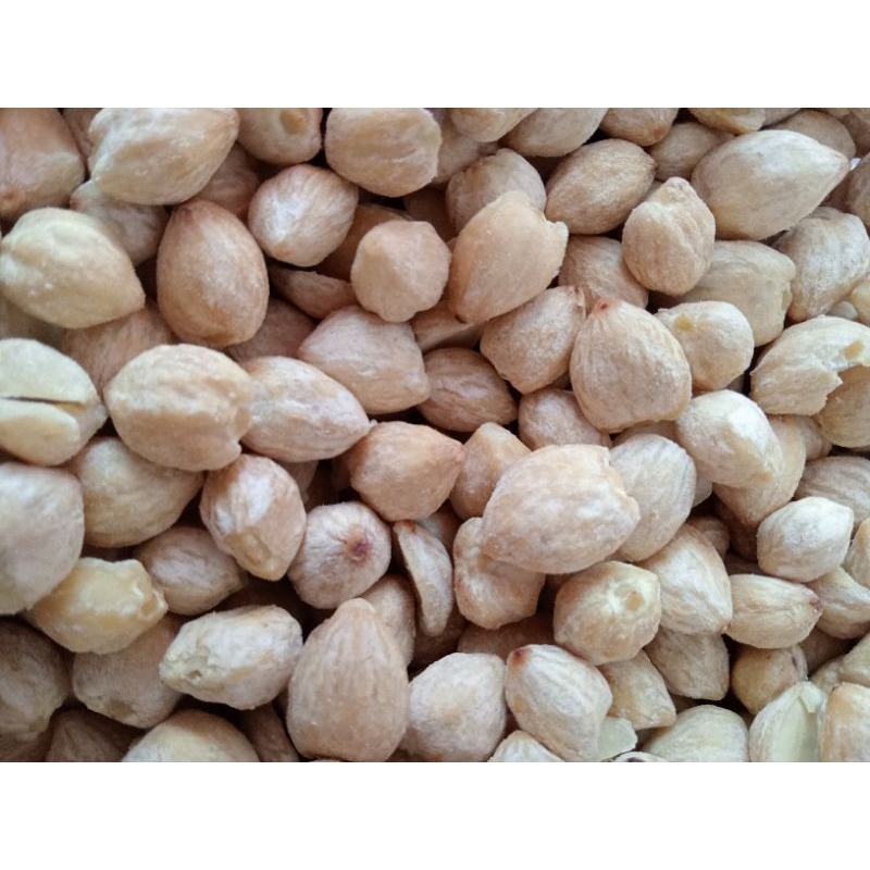 

Kemiri Bulat 1 Kg Kualitas Bagus Berat Akurat