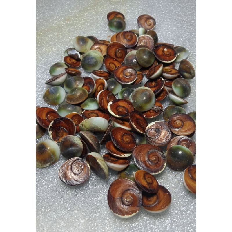 keong Buntet alam mata akik