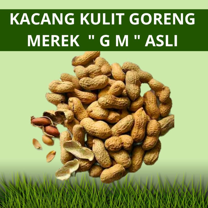 

(GROSIR) Kacang Kulit Repack GM 250g