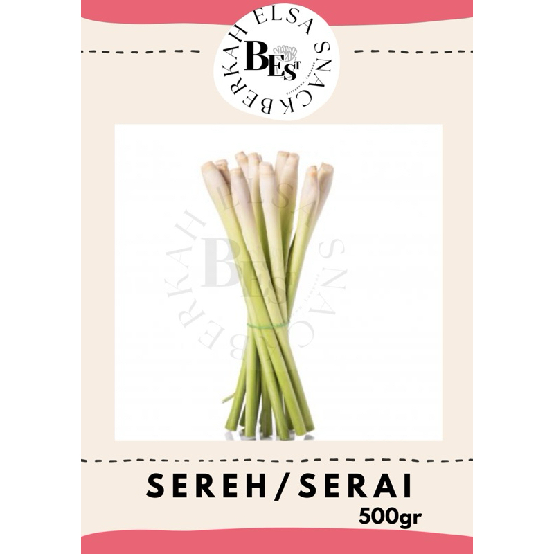 

SEREH/SERAI SEGAR 500gr || TERMURAH SERAI/SEREH BUMBU DAPUR