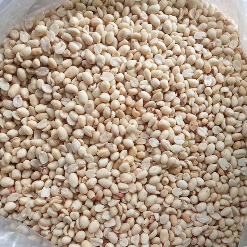 

Kacang kupas kecil