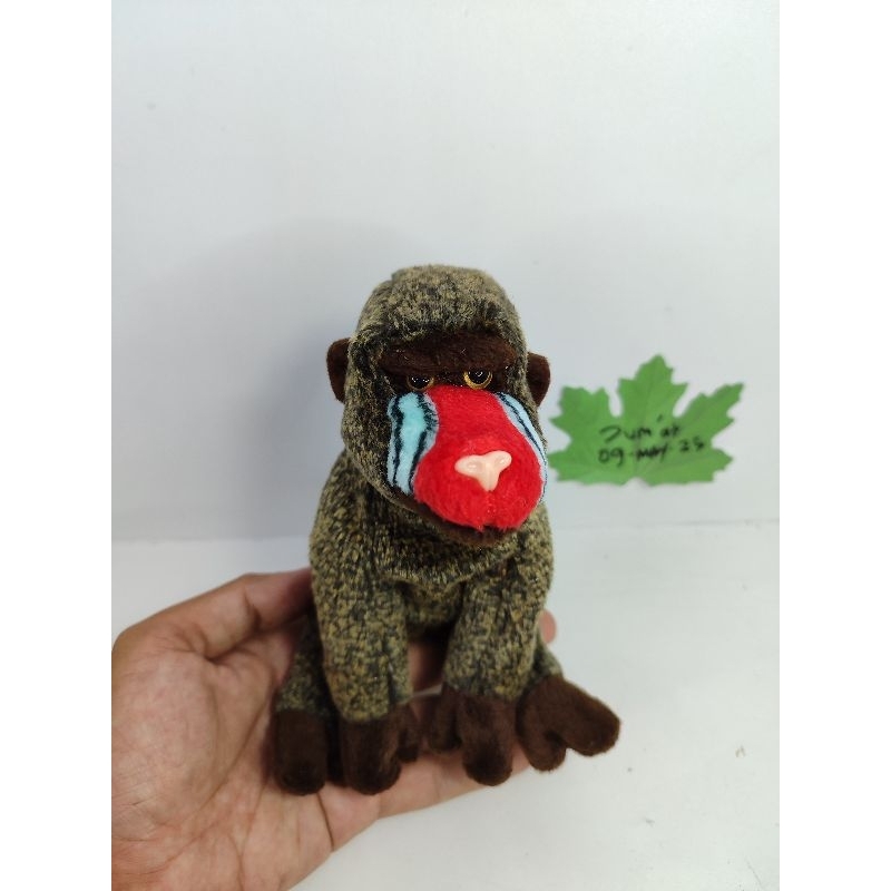 boneka ty beanie baboon monkey original cheeks