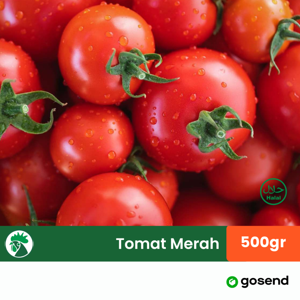 

Tomat Merah Segar 500gr | Tomat Gunung