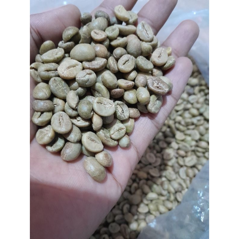

GREENBEAN ROBUSTA ASLI DAMPIT ( SORTIR )