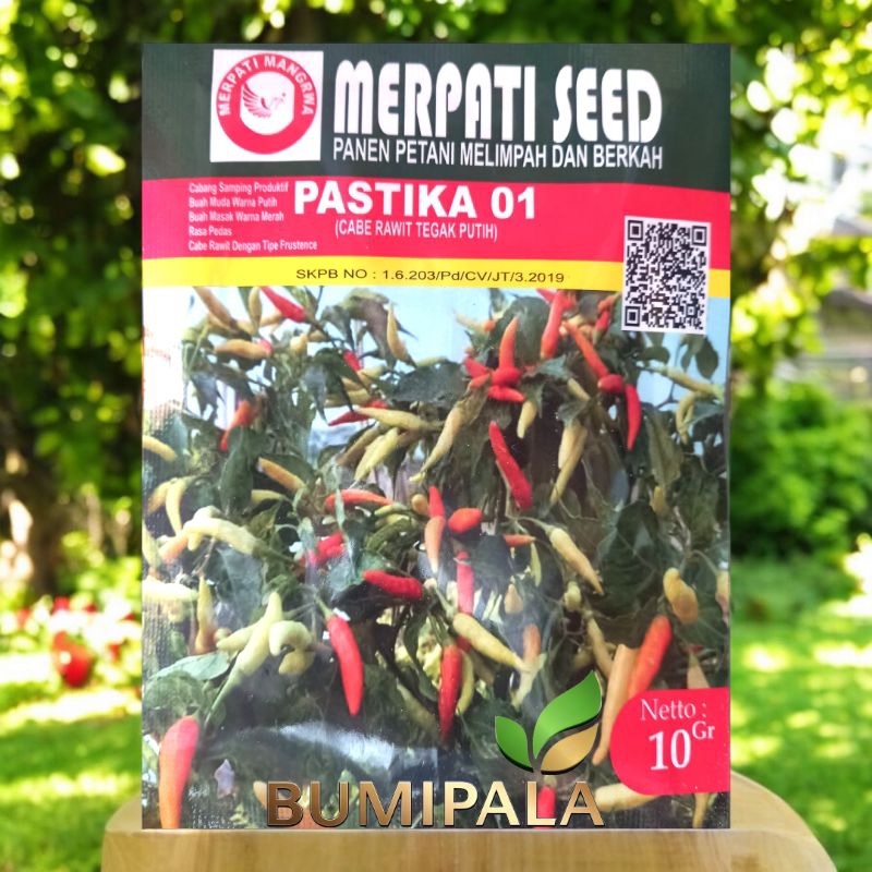 Benih cabe rawit tegak putih 10 gram pastika