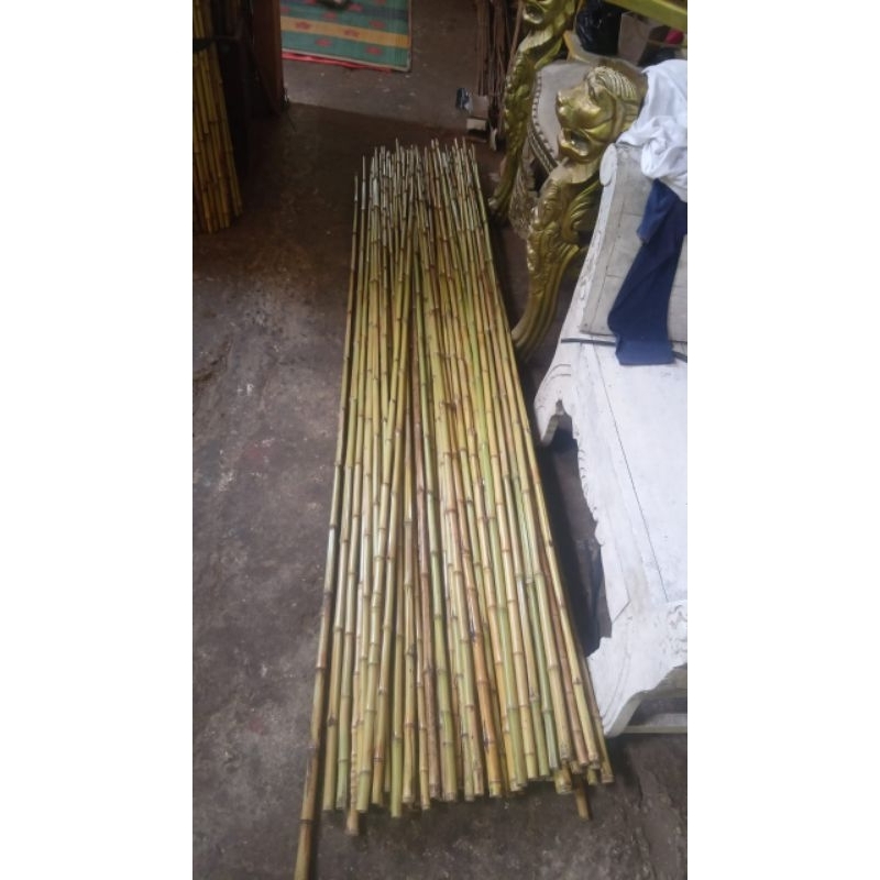 10 batang STIK BAMBU KUNING 1,8 METER
