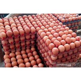 TELUR AYAM NEGERI FRESH TELUR AYAM LOKAL BANDUNG 3O BUTIR