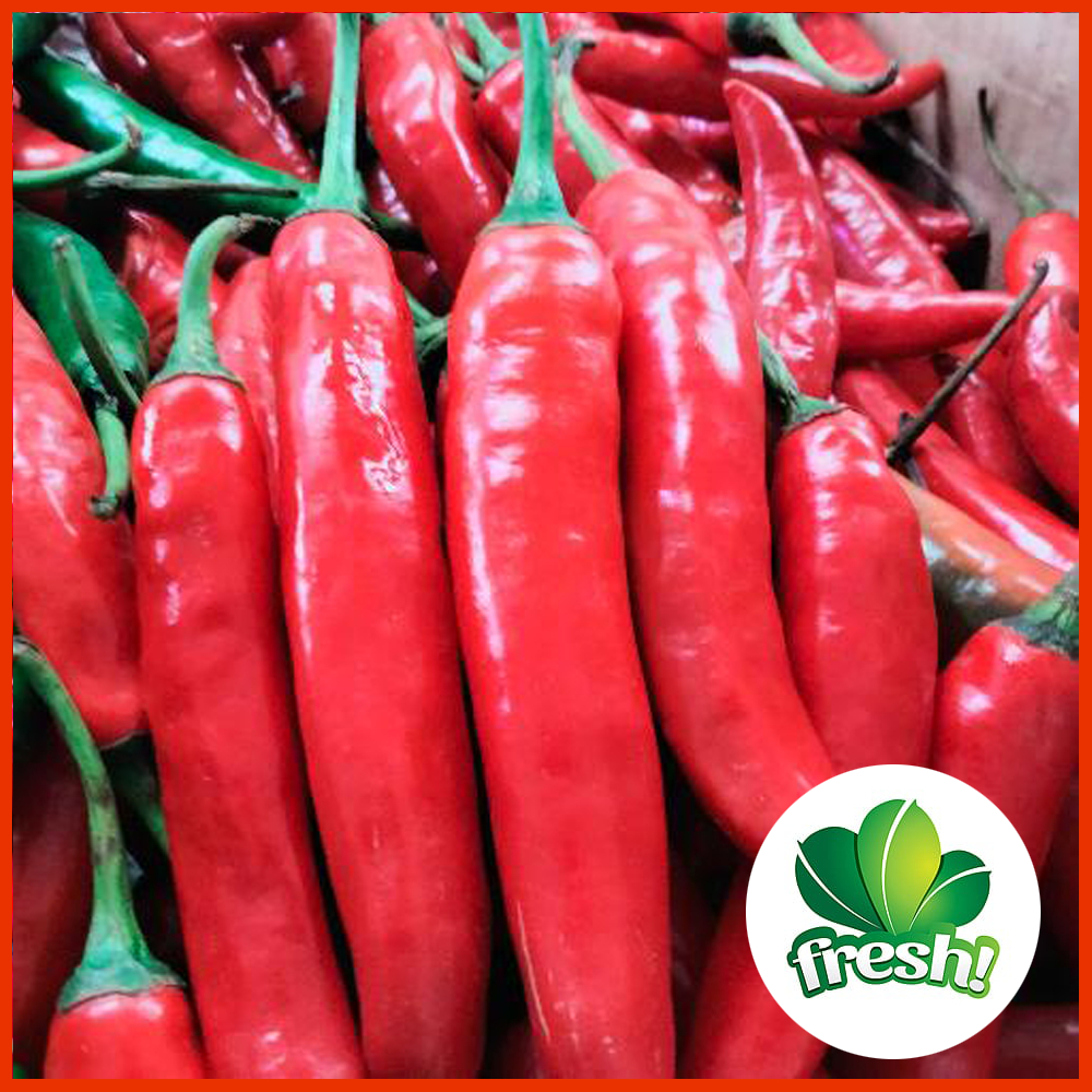 

Cabai Merah Besar Segar Berkualitas Langsung Dari Petani