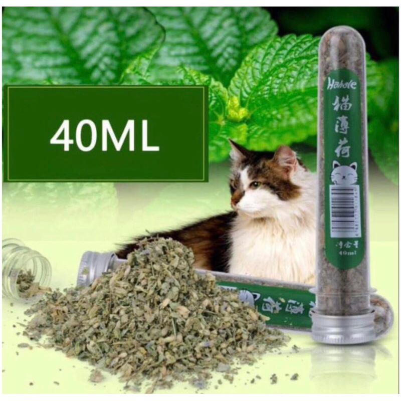 Catnip SACHET Catnip BOTOL Catnip Bubuk